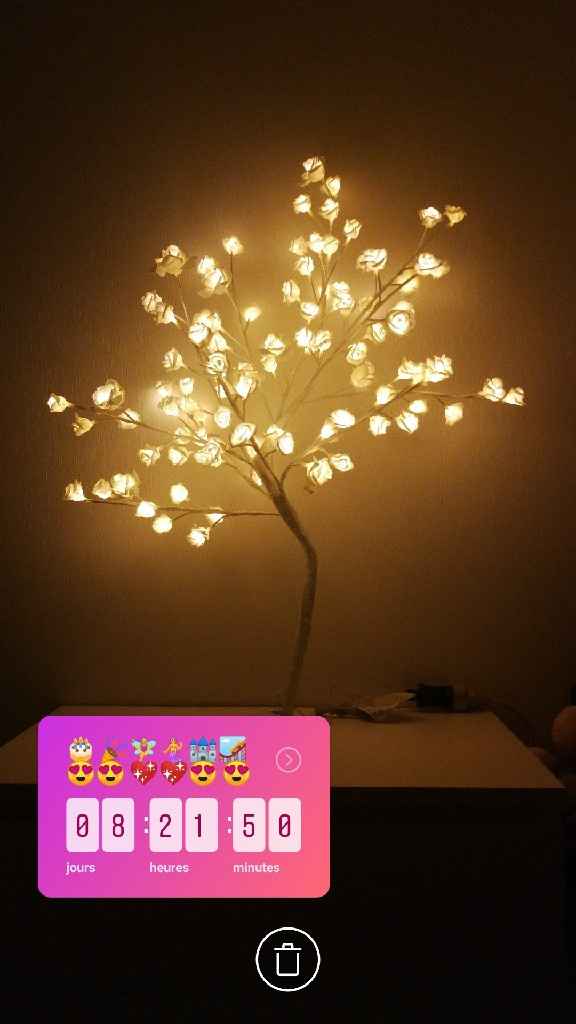 Mon arbre à voeux un peut original - 1