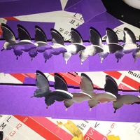  Avancement mariage - 7