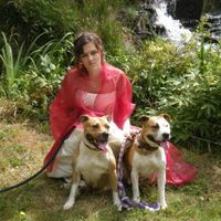 notre mariages juillet 2008