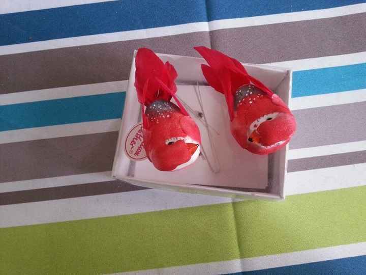 Colis oiseaux reçu - 1