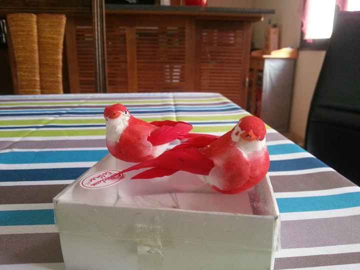 Colis oiseaux reçu - 2