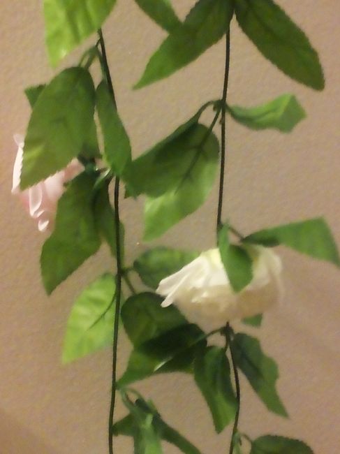fleur 1