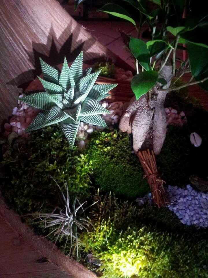 Coup de coeur centre de table - 4