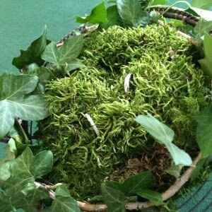 Quel porte alliances - 5