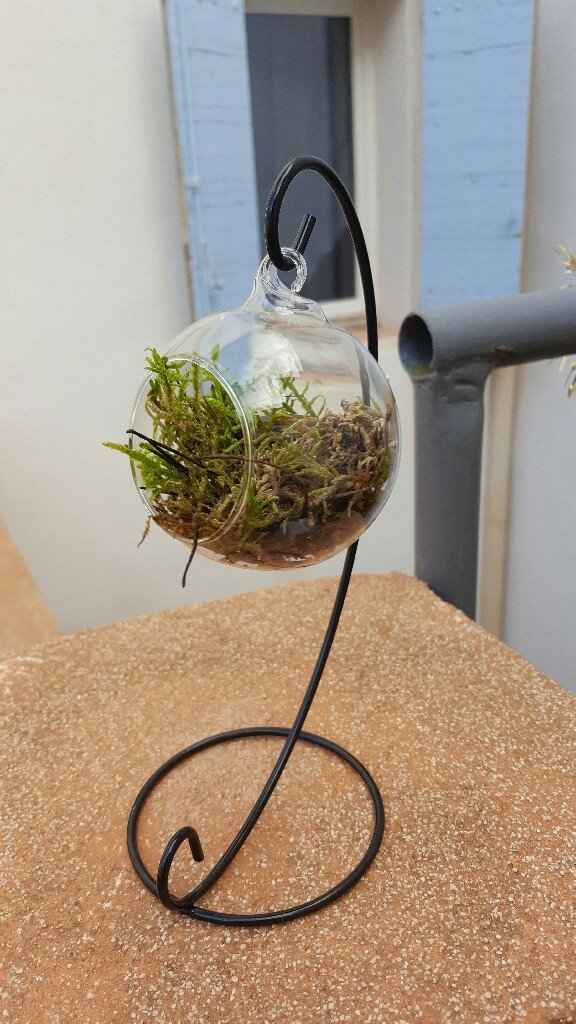 Table d'honneur!!!! - 1