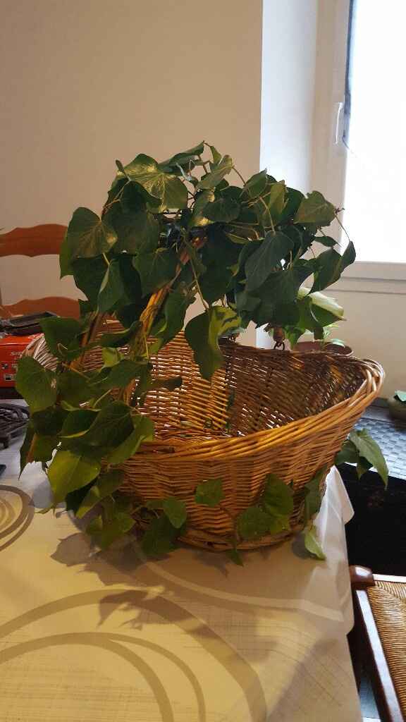 Activité lierre - 1