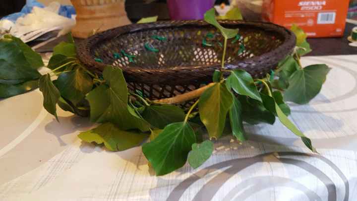 Activité lierre - 3