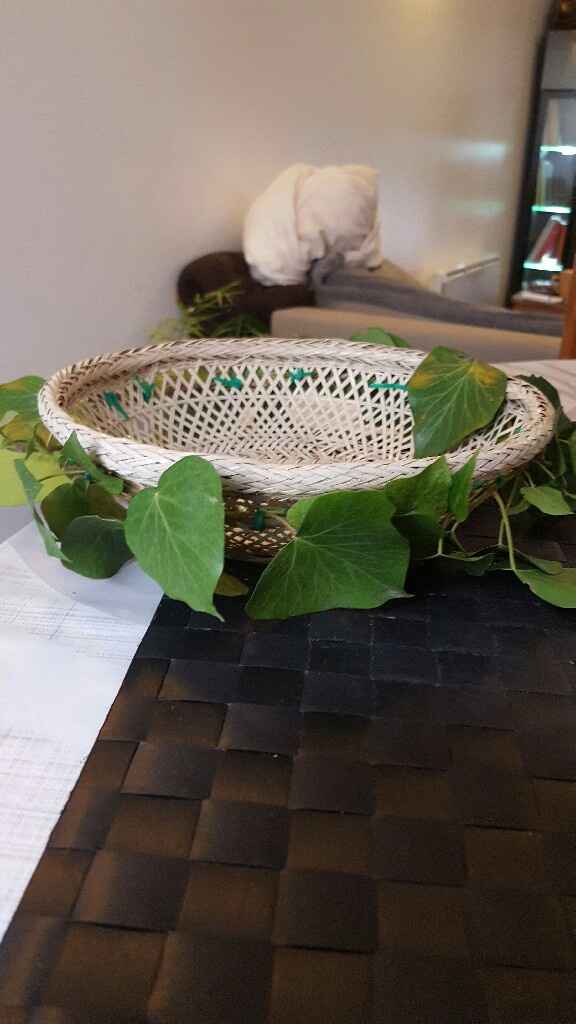 Activité lierre - 4