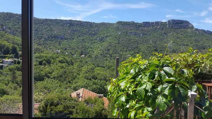 Journée témoin - 3