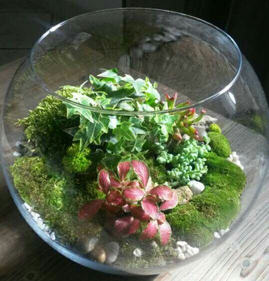 Table d'honneur!!!! - 3