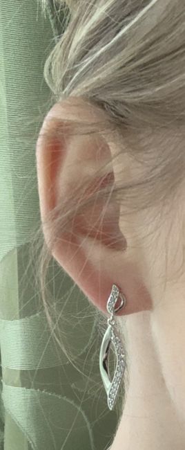 Avis boucles d’oreilles - 1