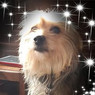 René