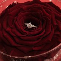 un magnifique solitaire accompagné dans une rose éternel 