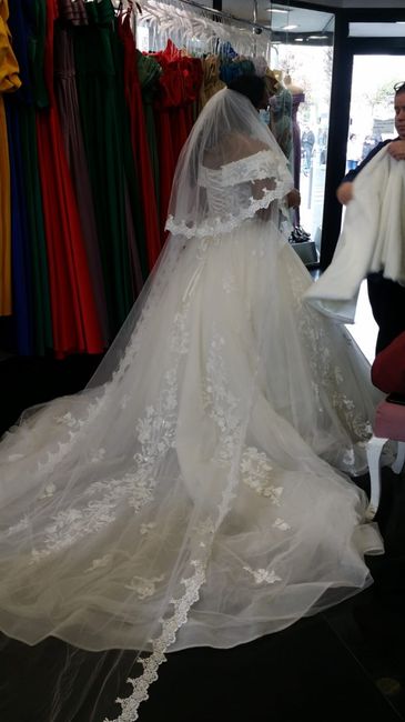 Voile 1