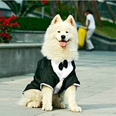 Le futur costume de Lucky