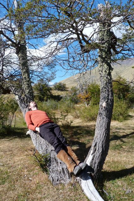 En Patagonie