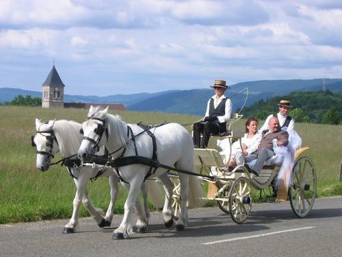 Une calèche dans ce style pour mon arrivée