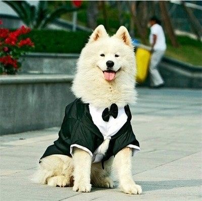 Le futur costume de Lucky