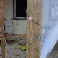 Trop contente de notre arche - 2