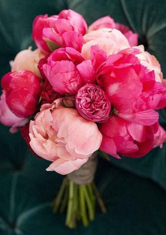 Bouquet ...pastel ou couleur flash - 1