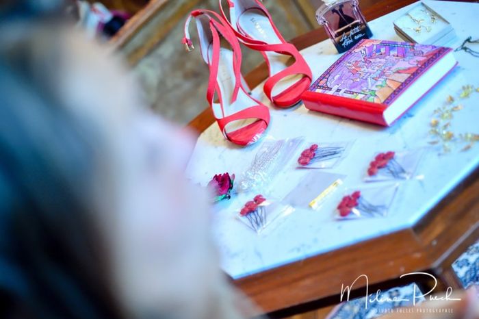 Mes chaussures : dress code Rouge (le rouge de la rose éternelle)