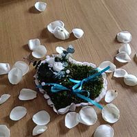 ✨Demande en mariage✨ - 1