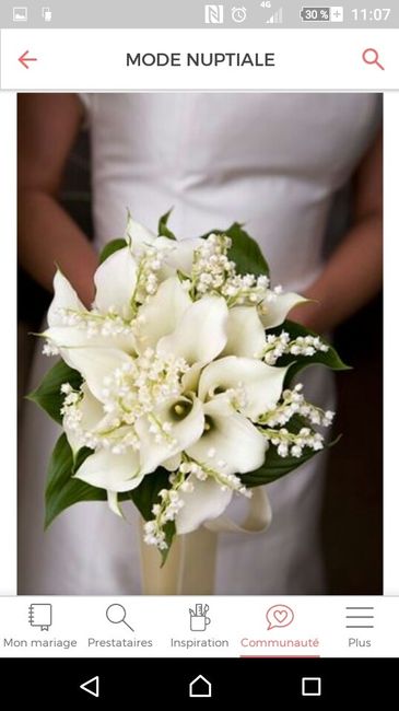 L'île de la tentation, mariage.net mes résultats - 3