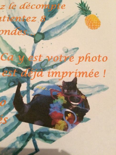 J-5 et les nerfs s'intensifient, les nuit sont longues et la decoration se termine ... - 2