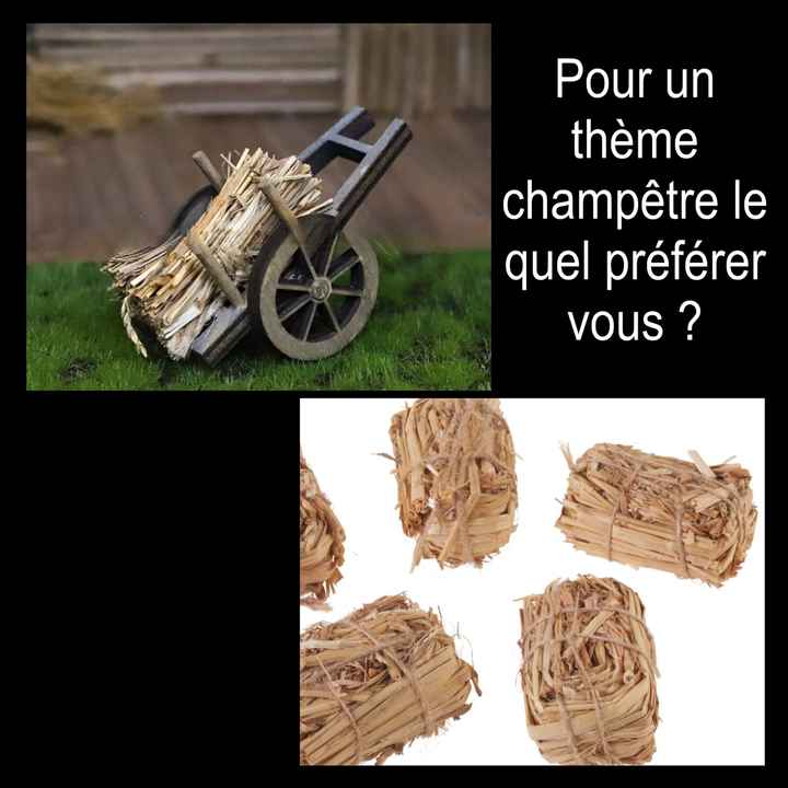 Mariage champêtre - 1