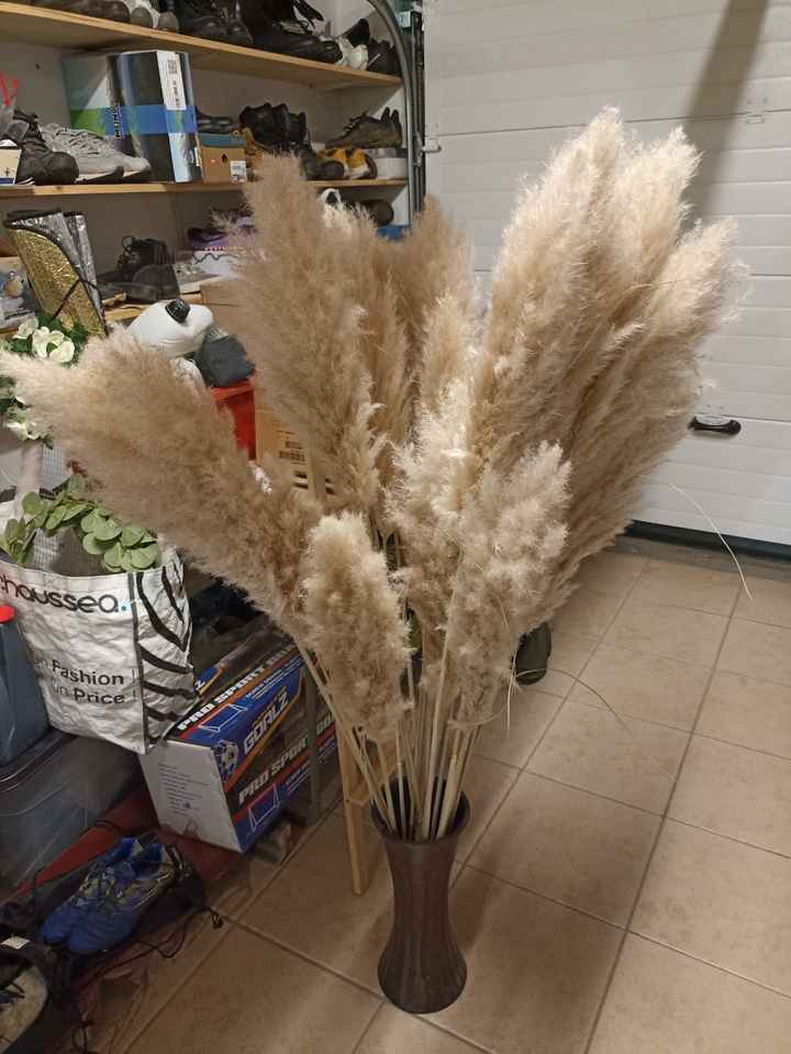 Recherche Pampas 🌼 - 1