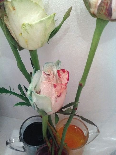 Nouvelle de mon diy rose arc en ciel - 3