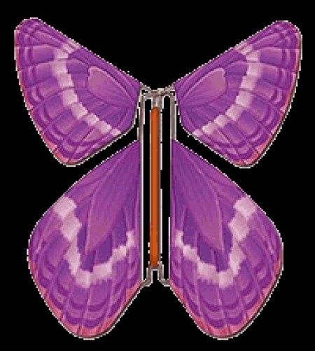 Papillon volant 