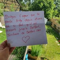 Besoin de votre aide... Encore ! Love note - 1