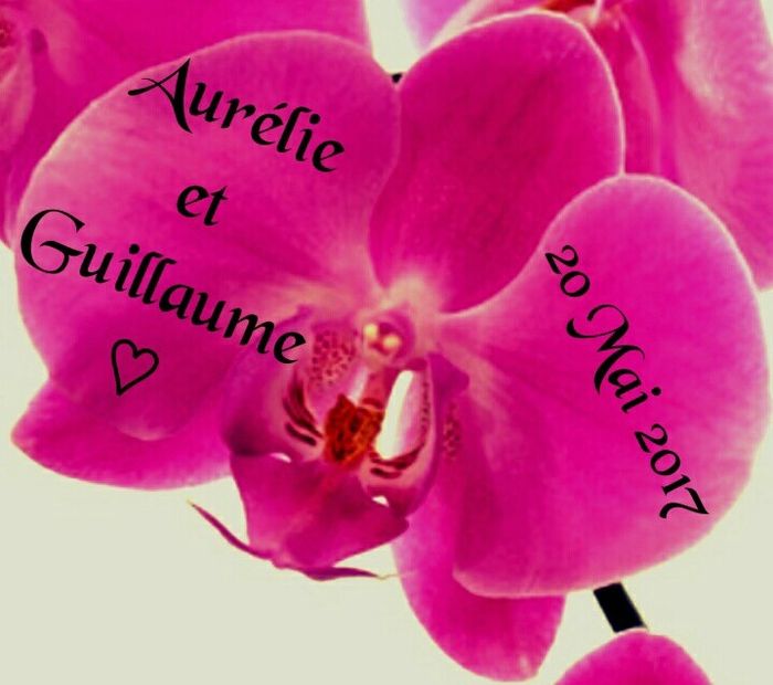 Etiquettes dragees - 1