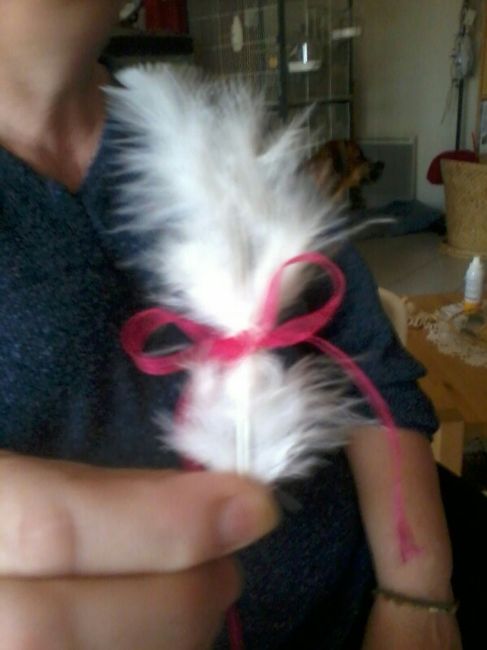 notre boutonnière