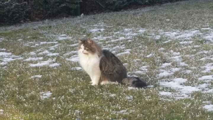 Nos amis les bêtes - 2