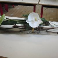 Besoin d'idées / déco' nature & forêt - 3