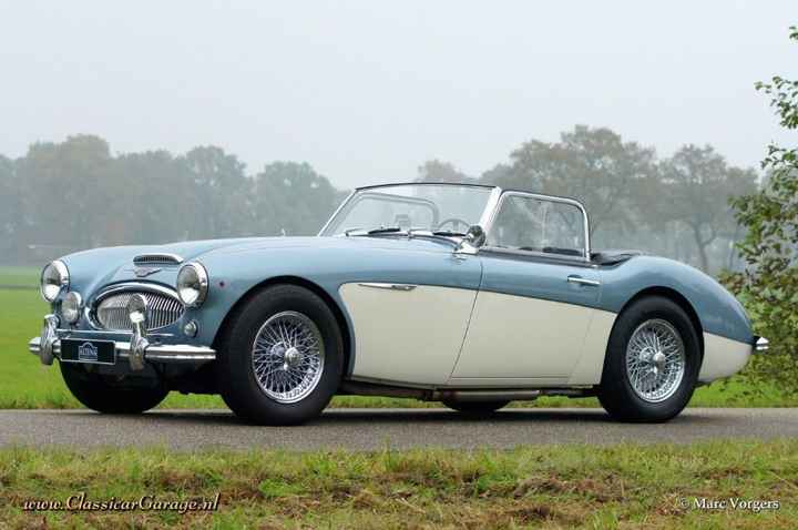 austin healey