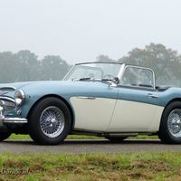 austin healey