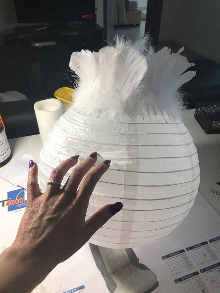 Plumes plumes plumes. - 1