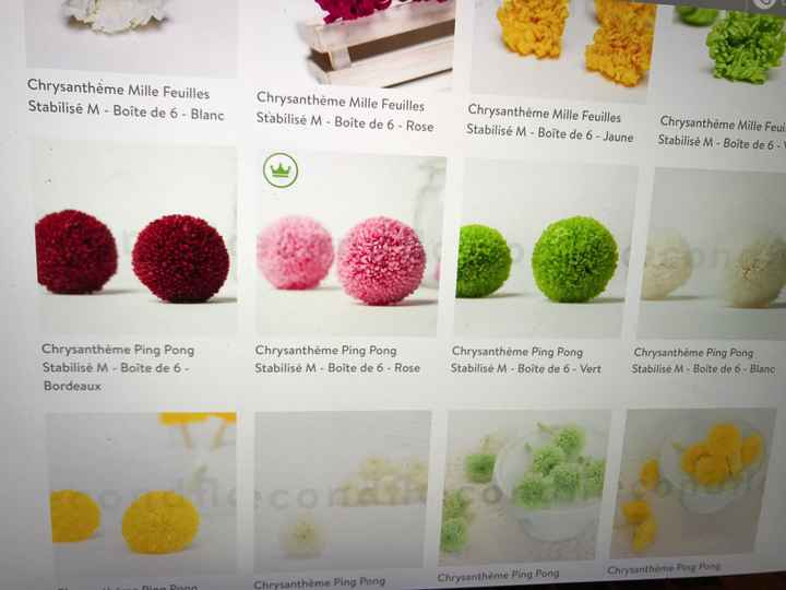  Fleurs éternelle - 2