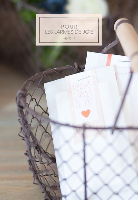 Sachets pour mouchoirs ou pétales