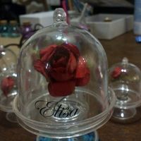 Belle et la bete - 1