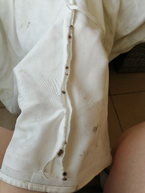 La robe... Après le mariage ! - 1