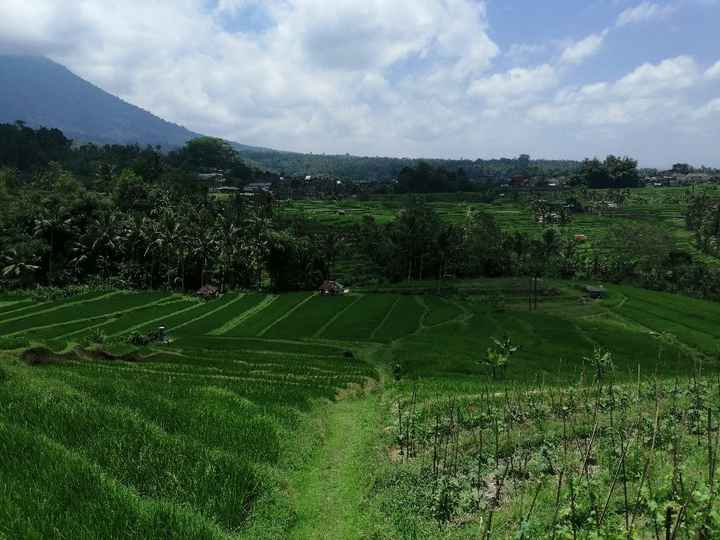 Notre lune de miel à Bali - 23