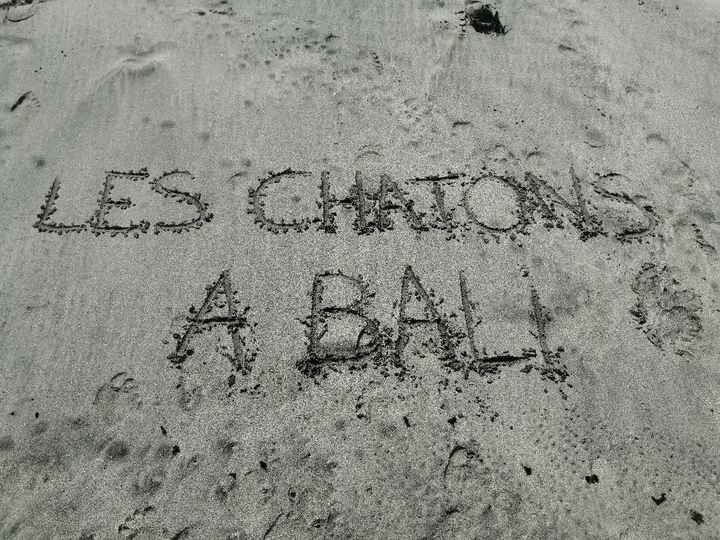 Là on peut dire que le mariage est fini - 3