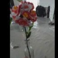 Décoration table - 2