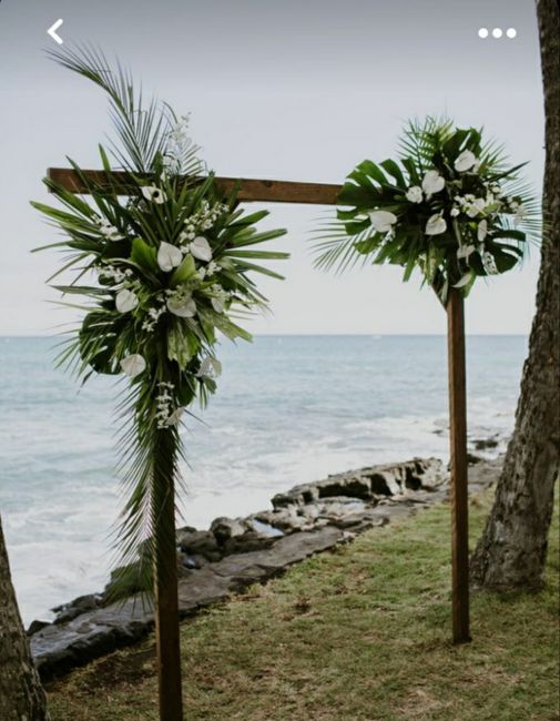 Pampa pour déco tropicale ou non? 5