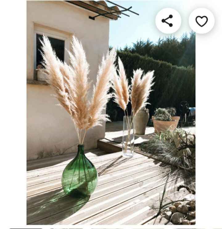 Pampa pour déco tropicale ou non? - 1