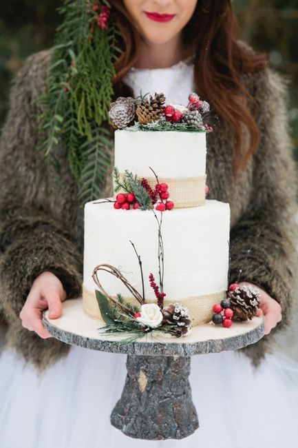 thème rustique chic (hiver)